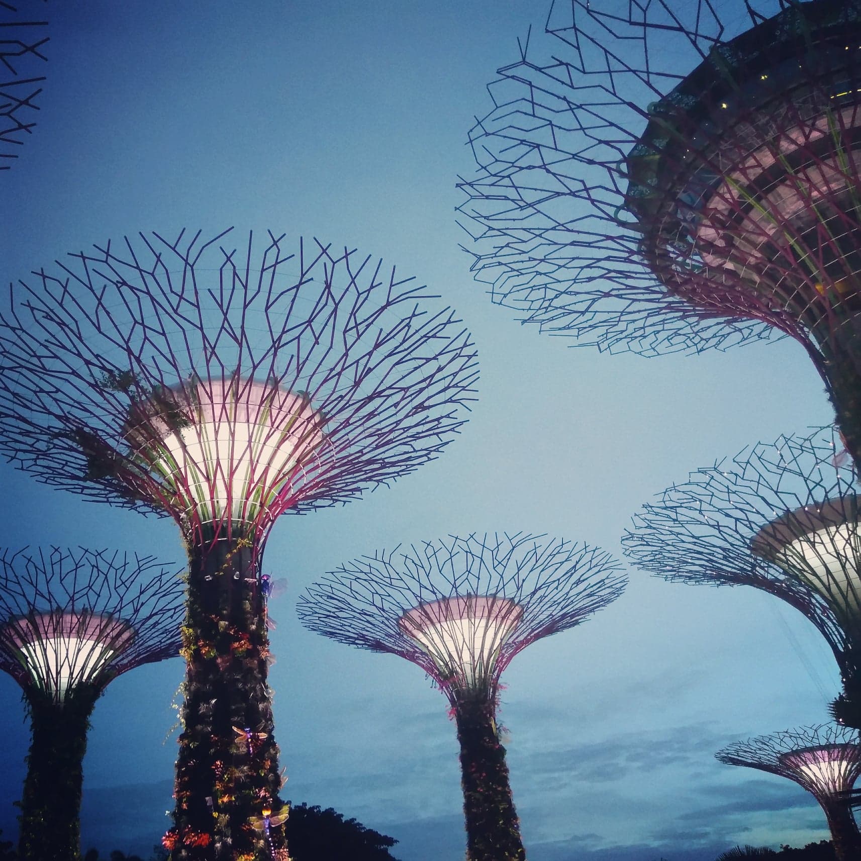 CESTOVÁNÍ JE VÁŠEŇ, ŘÍKÁ ZUZANA PETROVÁ Moje filozofie